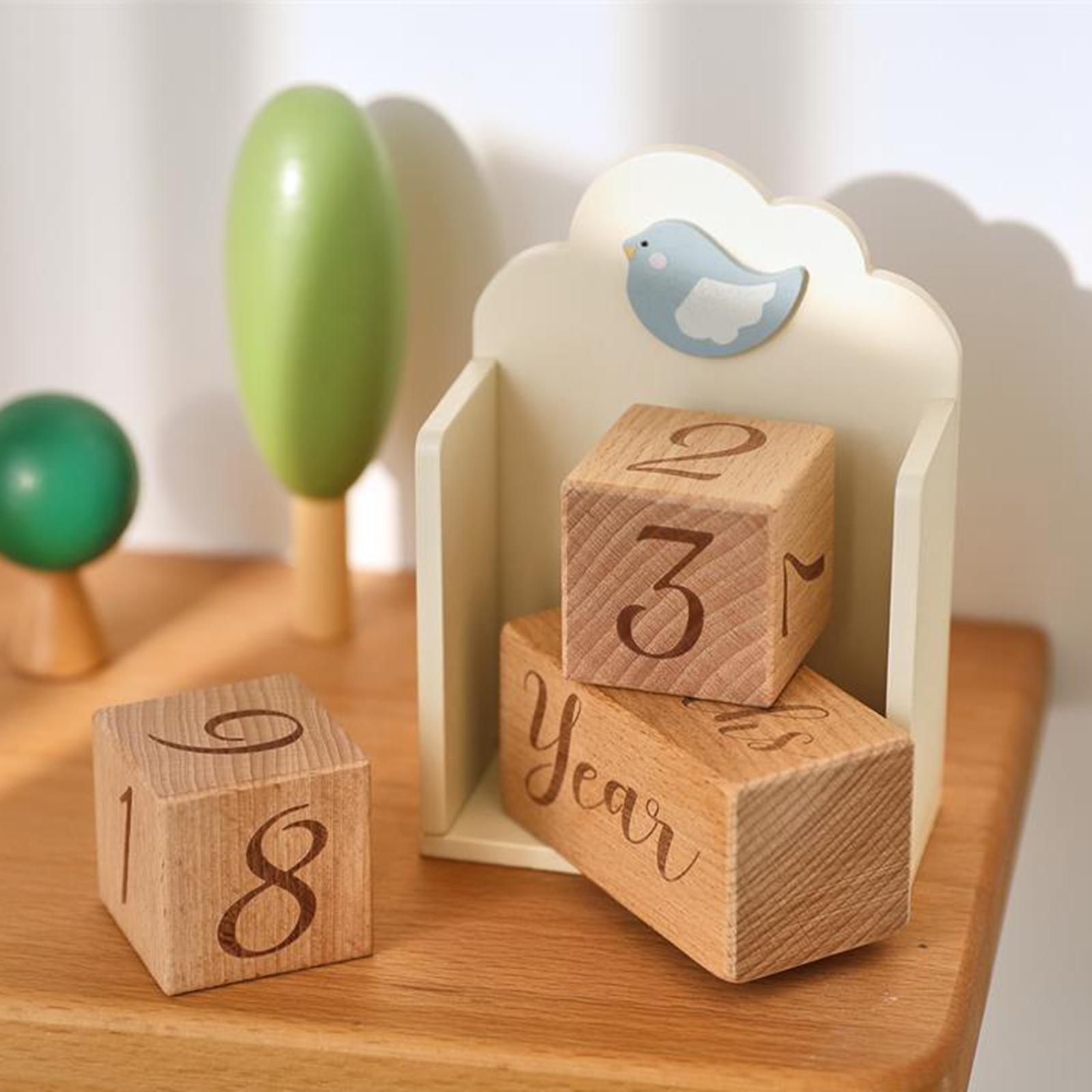 Wooden Baby Age Blocks Unique  - đánh giá và giá Baby Nursery Age